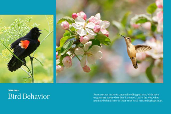 Birds and Blooms Backyard Basics: More than 300 Q&As about birds, butterflies and plants in your landscape