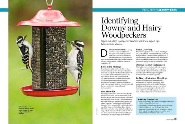 Birds and Blooms Backyard Basics: More than 300 Q&As about birds, butterflies and plants in your landscape