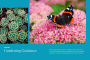 Alternative view 3 of Birds and Blooms Backyard Basics: More than 300 Q&As about birds, butterflies and plants in your landscape