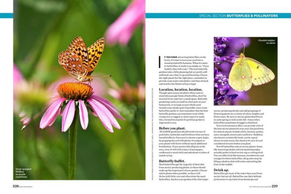 Birds and Blooms Backyard Basics: More than 300 Q&As about birds, butterflies and plants in your landscape