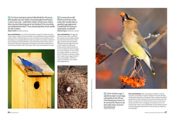 Birds and Blooms Backyard Basics: More than 300 Q&As about birds, butterflies and plants in your landscape