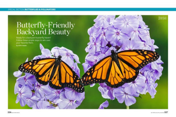 Birds and Blooms Backyard Basics: More than 300 Q&As about birds, butterflies and plants in your landscape