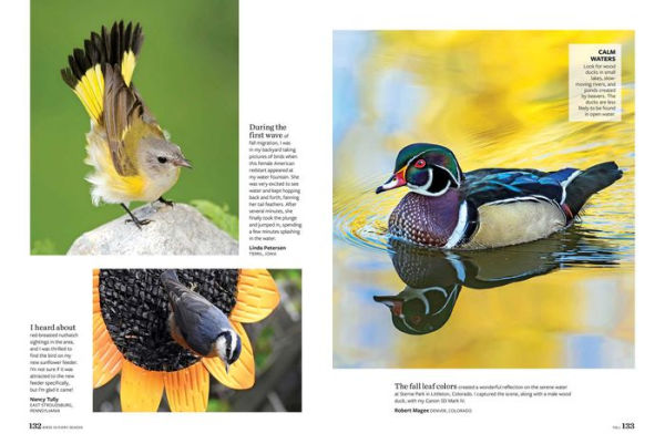 Birds & Blooms Every Season: Cherish the Feathered Flyers Your Yard All Year Long