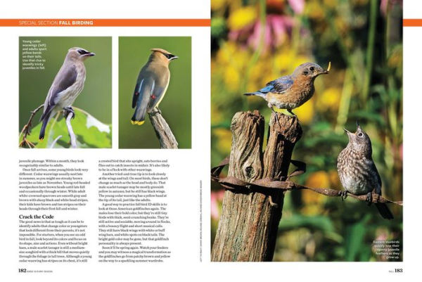 Birds & Blooms Every Season: Cherish the Feathered Flyers Your Yard All Year Long