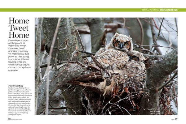 Birds & Blooms Every Season: Cherish the Feathered Flyers Your Yard All Year Long