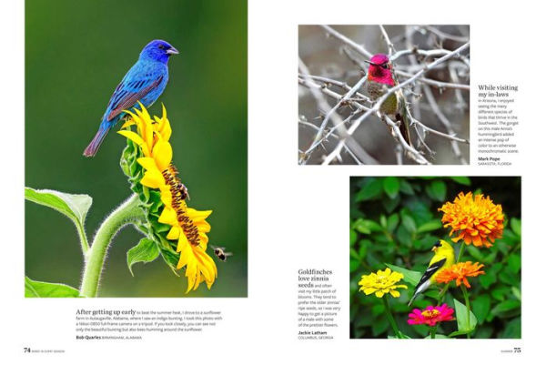 Birds & Blooms Every Season: Cherish the Feathered Flyers Your Yard All Year Long