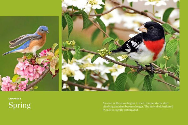 Birds & Blooms Every Season: Cherish the Feathered Flyers Your Yard All Year Long