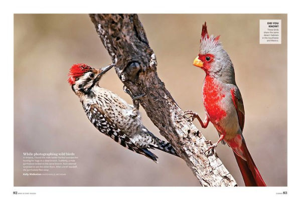 Birds & Blooms Every Season: Cherish the Feathered Flyers Your Yard All Year Long