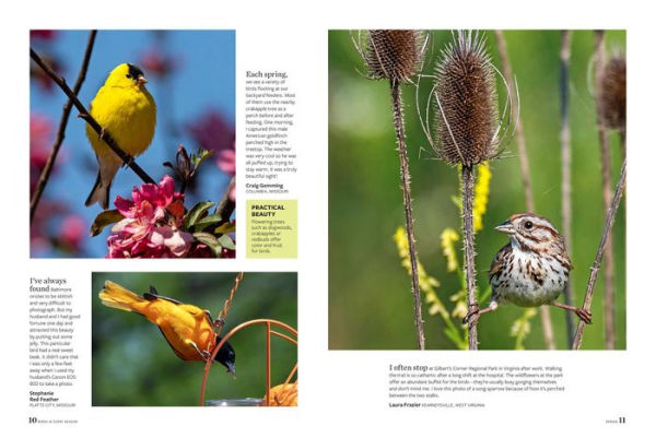 Birds & Blooms Every Season: Cherish the Feathered Flyers Your Yard All Year Long