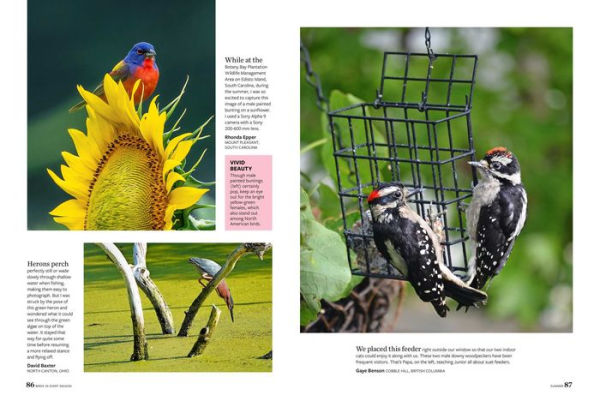 Birds & Blooms Every Season: Cherish the Feathered Flyers Your Yard All Year Long