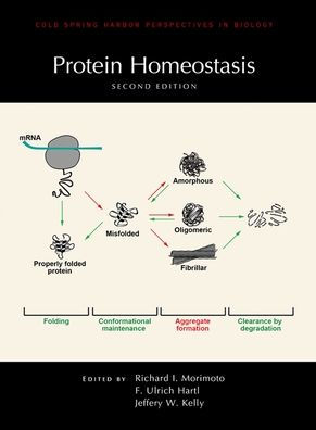 Protein Homeostasis, Second Edition / Edition 2