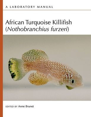 African Turquoise Killifish (Nothobranchius Furzeri): A Laboratory Manual