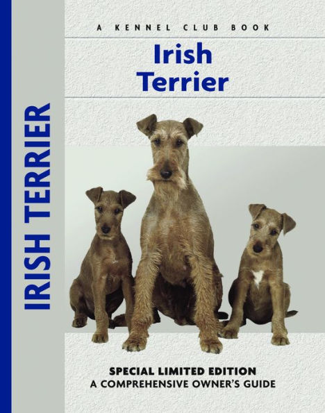 Irish Terrier: A Comprehensive Owner's Guide