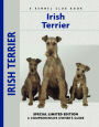 Irish Terrier: A Comprehensive Owner's Guide