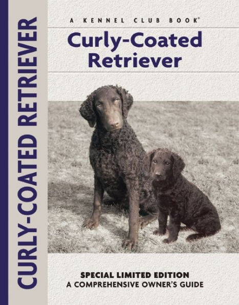 Curly-coated Retriever