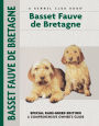 Basset Fauve De Bretagne