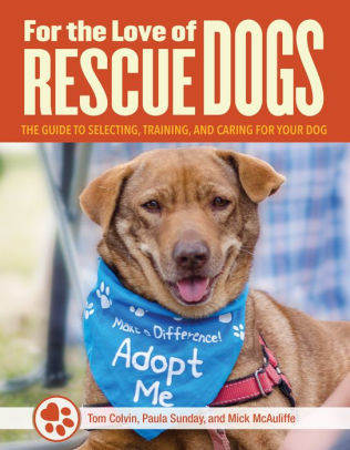 Caring For Your Rescued Dog