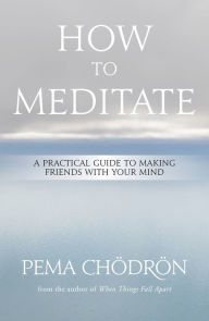 Title: How to Meditate: A Practical Guide to Making Friends with Your Mind, Author: Pema Chödrön