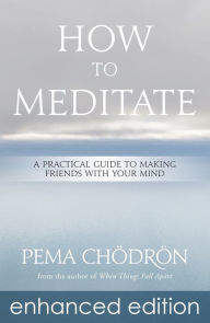 Title: How to Meditate: A Practical Guide to Making Friends with Your Mind, Author: Pema Chödrön
