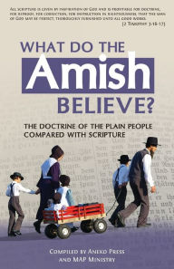 Title: What Do the Amish Believe?: The Doctrine of the Plain People Compared with Scripture, Author: Edicson Ruiz