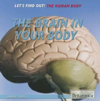 The Brain in Your Body