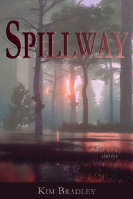 Free audiobooks online for download Spillway 9781622882359 CHM FB2 ePub English version
