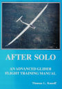 Alternative view 2 of After Solo