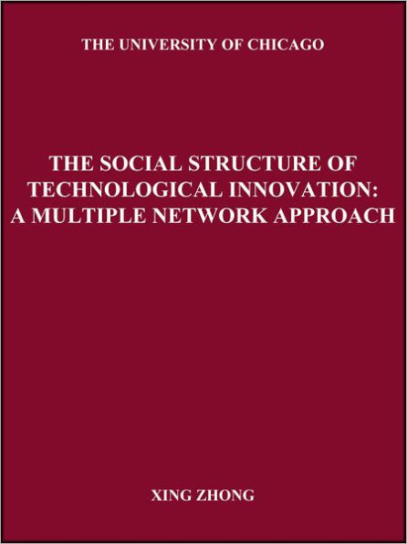 The Social Structure of Technological Innovation:: A Multiple Network Approach