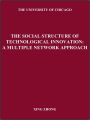 The Social Structure of Technological Innovation:: A Multiple Network Approach