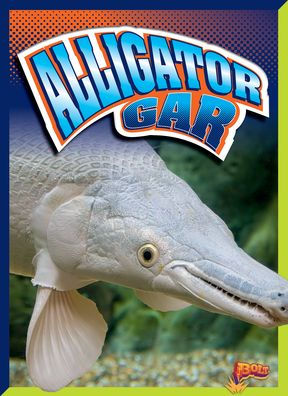 Alligator Gar