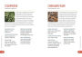Alternative view 6 of The Portable Essential Oils: A Pocket Reference of Everyday Remedies for Natural Health & Wellness