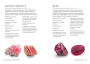Alternative view 30 of Crystals for Beginners: The Guide to Get Started with the Healing Power of Crystals