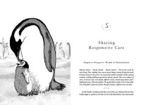 Alternative view 4 of The Evolved Nest: Nature's Way of Raising Children and Creating Connected Communities