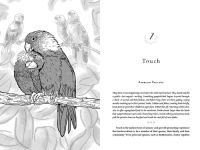 Alternative view 5 of The Evolved Nest: Nature's Way of Raising Children and Creating Connected Communities