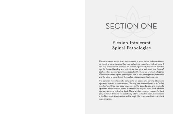 Safe Movement for All Spines: A Guide to Spinal Anatomy and How Work with 21 Spine Hip Conditions