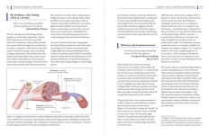 Alternative view 4 of Functional Anatomy of Movement: An Illustrated Guide to Joint Movement, Soft Tissue Control, and Myofascial Anatomy-- For yoga teachers, pilates instructors & movement & manual therapists