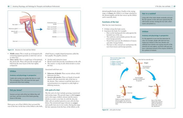 Anatomy, Physiology, and Pathology, Third Edition: A Practical, Illustrated Guide to the Human Body for Students and Practitioners--Clear and accessible, with study tips and full-color visual aids