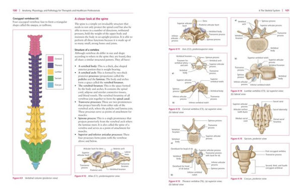 Anatomy, Physiology, and Pathology, Third Edition: A Practical, Illustrated Guide to the Human Body for Students and Practitioners--Clear and accessible, with study tips and full-color visual aids