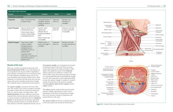 Anatomy, Physiology, and Pathology, Third Edition: A Practical, Illustrated Guide to the Human Body for Students and Practitioners--Clear and accessible, with study tips and full-color visual aids