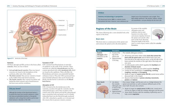 Anatomy, Physiology, and Pathology, Third Edition: A Practical, Illustrated Guide to the Human Body for Students and Practitioners--Clear and accessible, with study tips and full-color visual aids