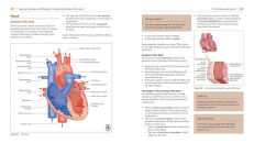 Alternative view 8 of Anatomy, Physiology, and Pathology, Third Edition: A Practical, Illustrated Guide to the Human Body for Students and Practitioners--Clear and accessible, with study tips and full-color visual aids