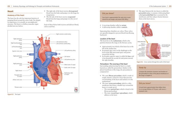 Anatomy, Physiology, and Pathology, Third Edition: A Practical, Illustrated Guide to the Human Body for Students and Practitioners--Clear and accessible, with study tips and full-color visual aids