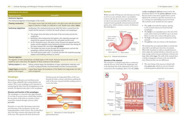 Anatomy, Physiology, and Pathology, Third Edition: A Practical, Illustrated Guide to the Human Body for Students and Practitioners--Clear and accessible, with study tips and full-color visual aids