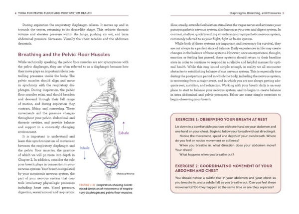 Yoga for Pelvic Floor and Postpartum Health: An Iyengar Yoga Approach to Pelvic Healing and Integrative Wellness through Anatomy and Practice