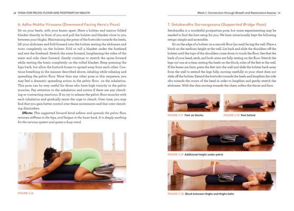 Yoga for Pelvic Floor and Postpartum Health: An Iyengar Yoga Approach to Pelvic Healing and Integrative Wellness through Anatomy and Practice