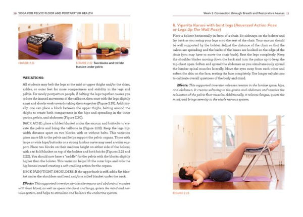 Yoga for Pelvic Floor and Postpartum Health: An Iyengar Yoga Approach to Pelvic Healing and Integrative Wellness through Anatomy and Practice