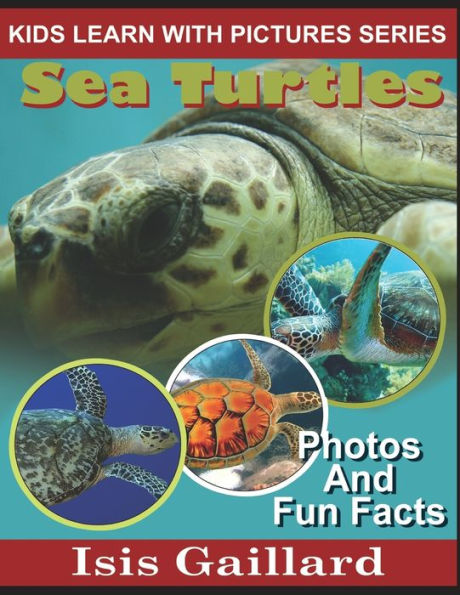 Sea Turtles: Photos and Fun Facts for Kids