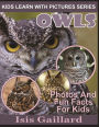 Owls: Photos and Fun Facts for Kids