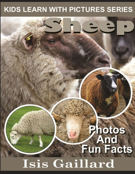 Sheep: Photos and Fun Facts for Kids