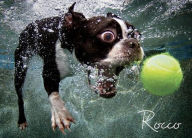 Title: Underwater Dogs Rocco 1000 Piece Puzzle